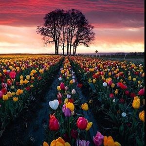 Meet your Posher, Kelsy